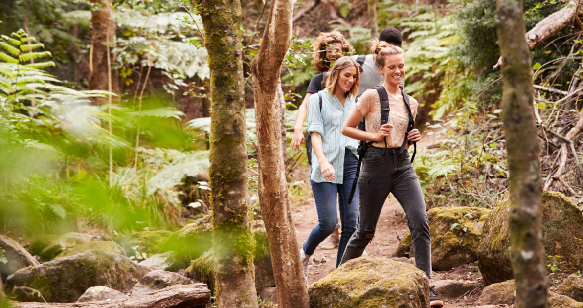 The Art of Unplugging: How a Digital Detox Can Help You Reconnect with Everyday Life