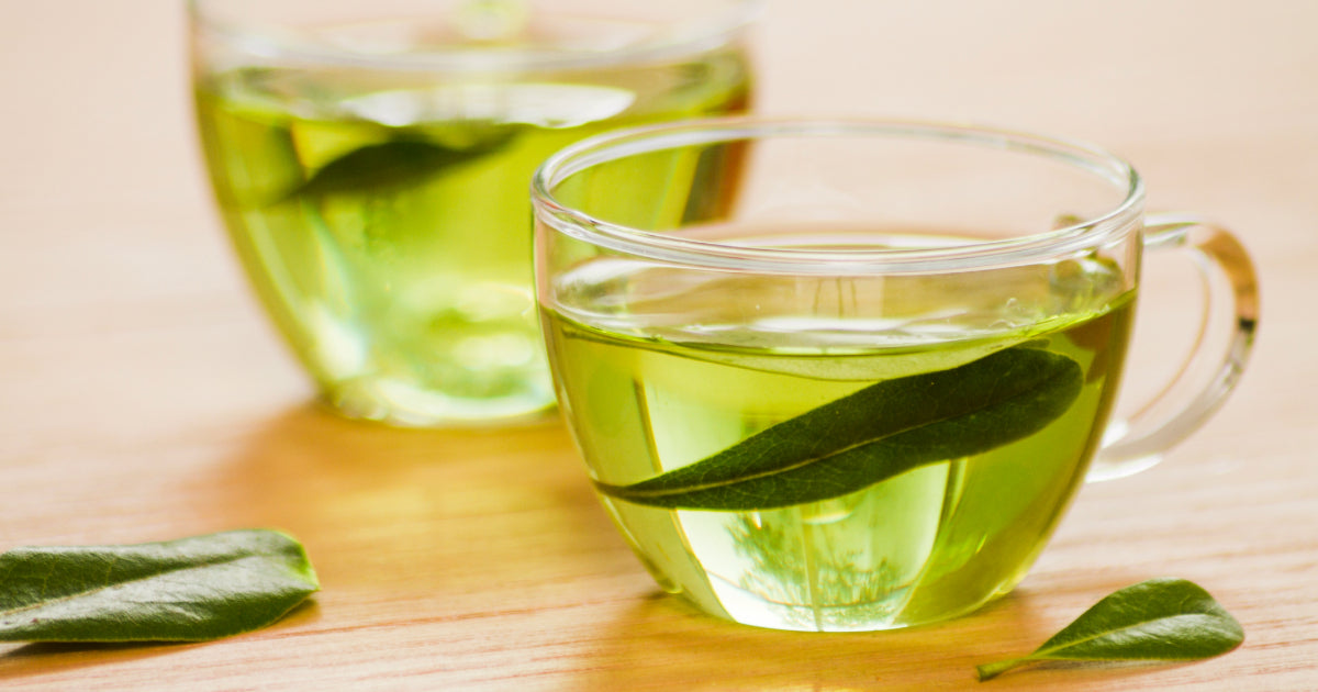 What Is L-Theanine? Understanding the Benefits of This Relaxation Amino Acid