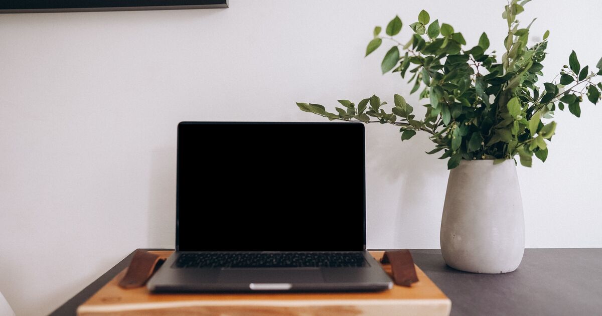 The Kinetic Anchor: How Strategic Micromovements Rescue Your Posture and Daily Energy Flow