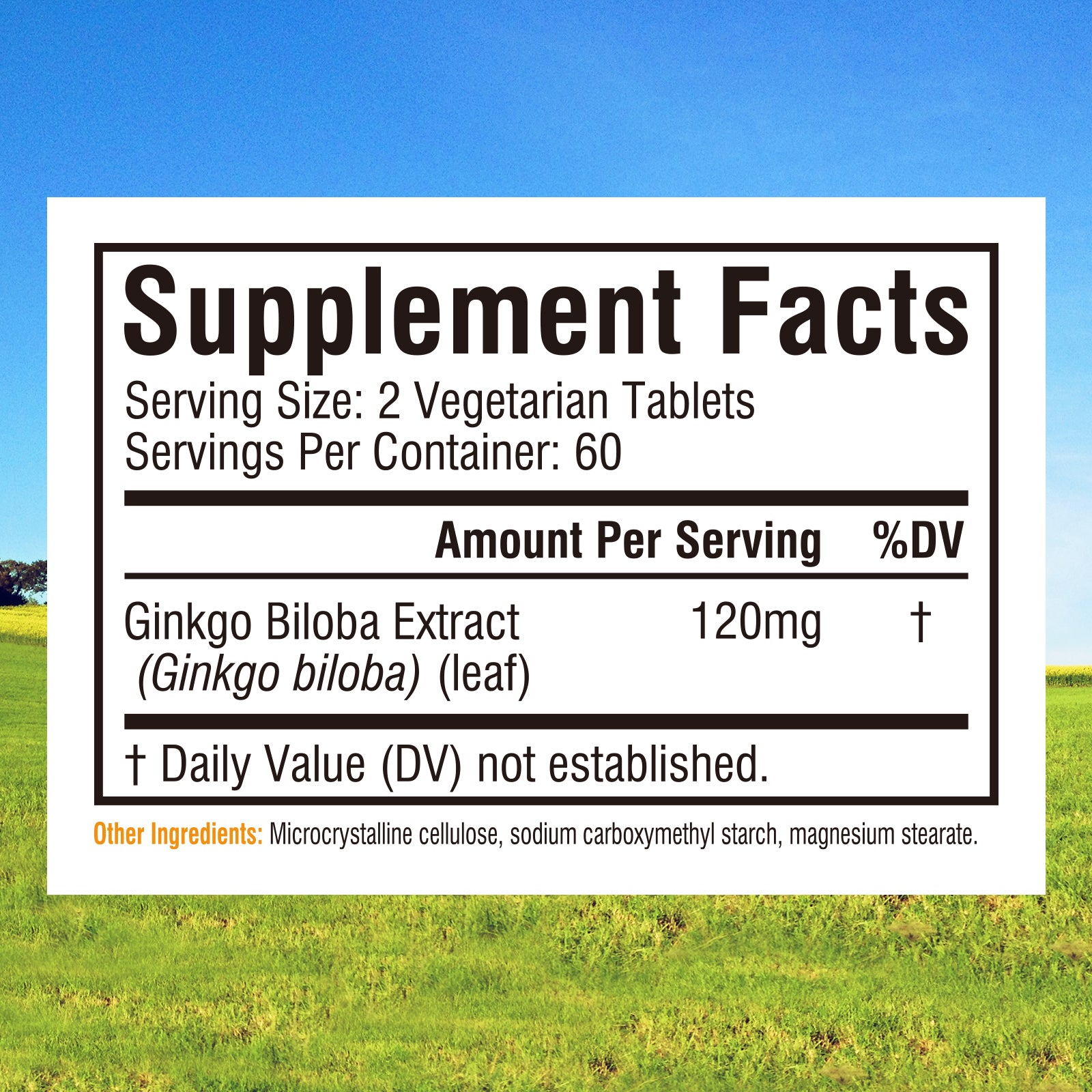 Ginkgo Biloba Tablet