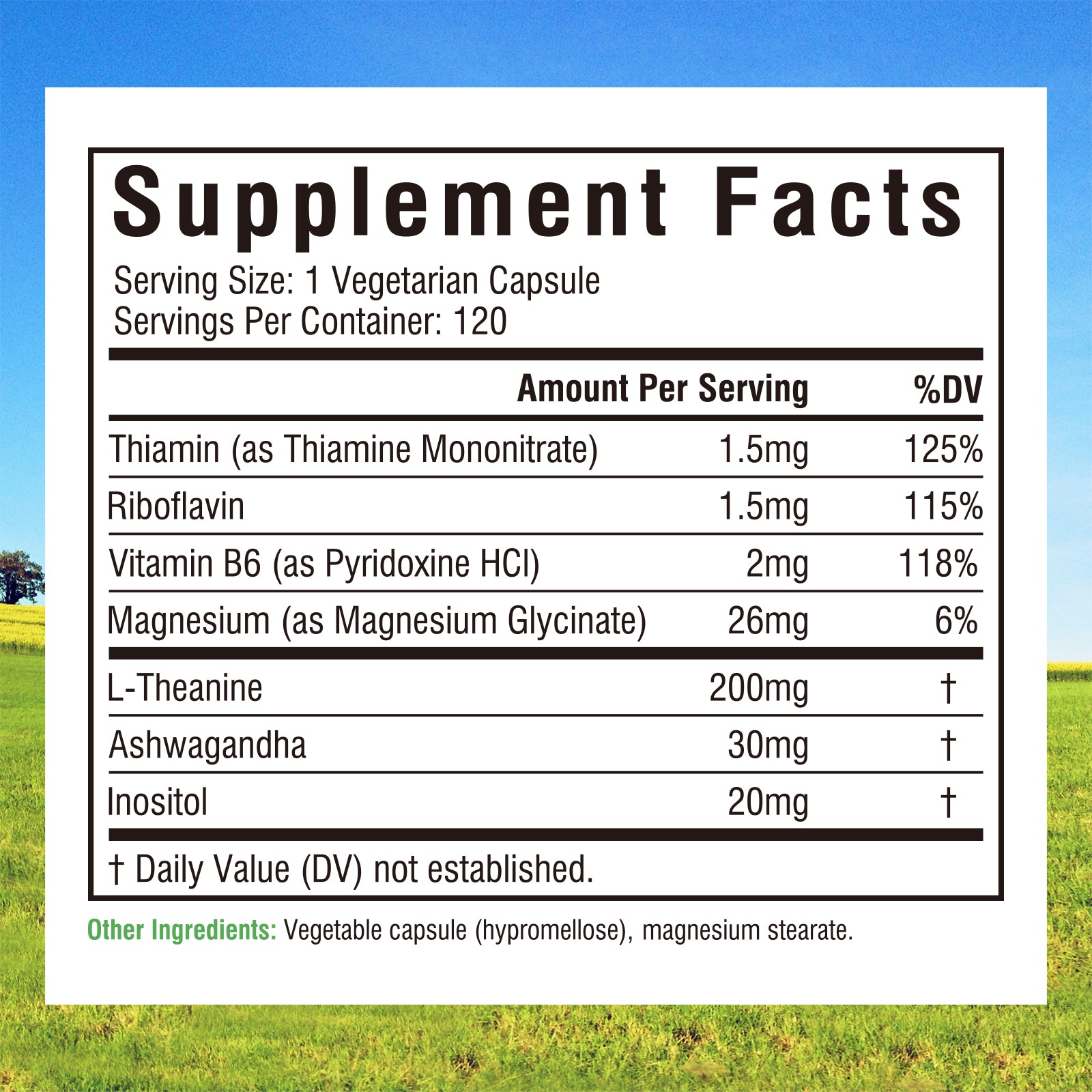 L-Theanine Advanced 7-In-1 Complex