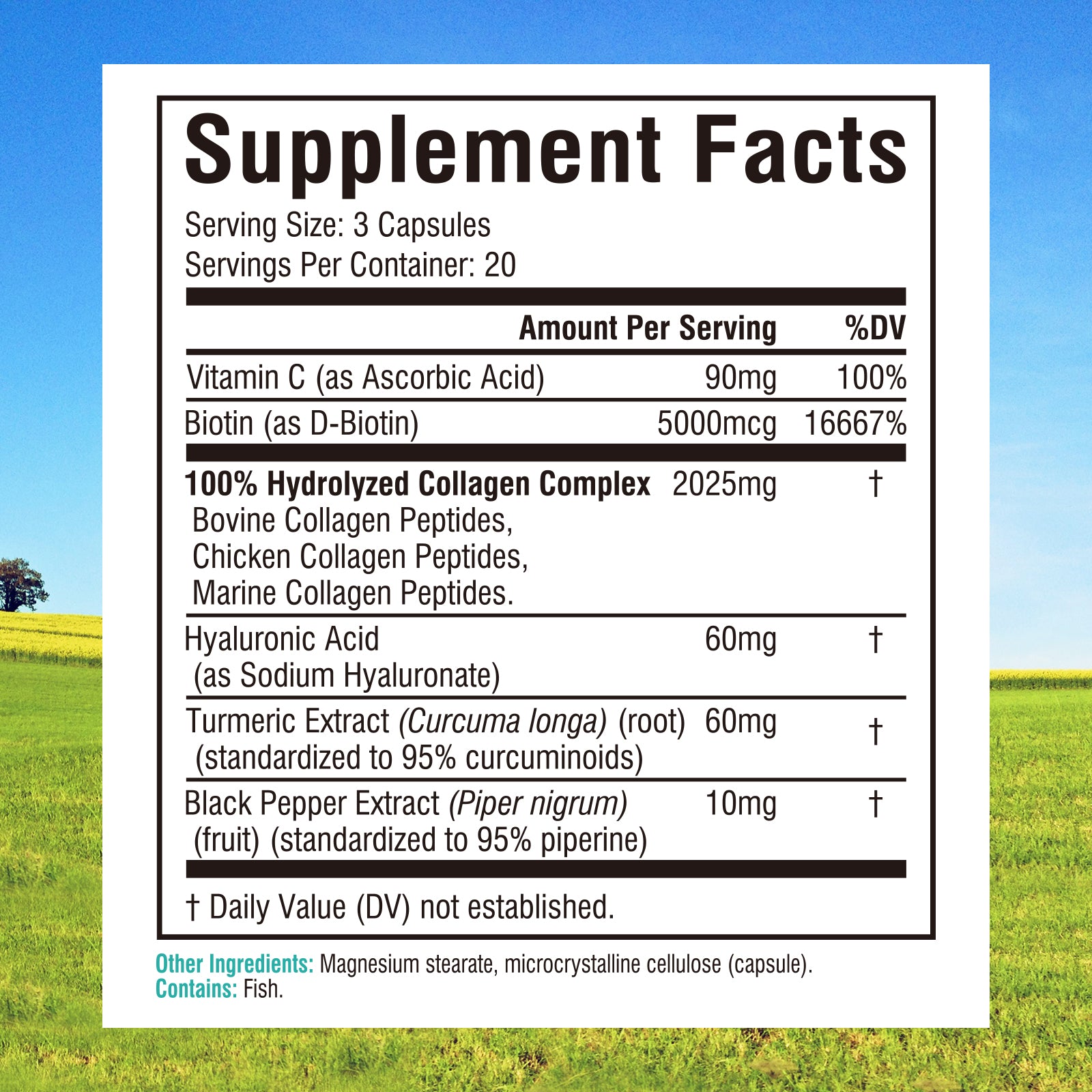 Multi Collagen Complex