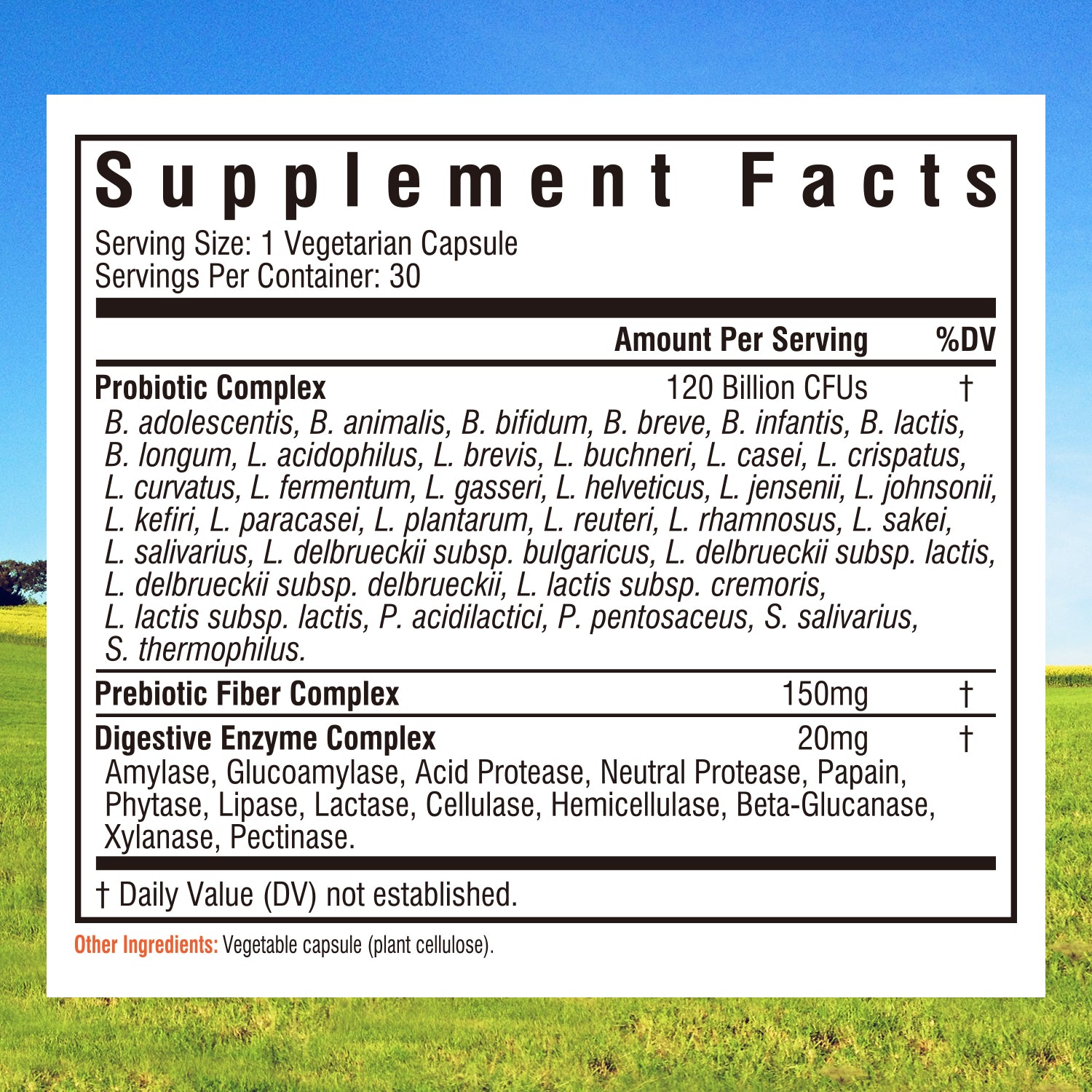 3-In-1 Probiotics