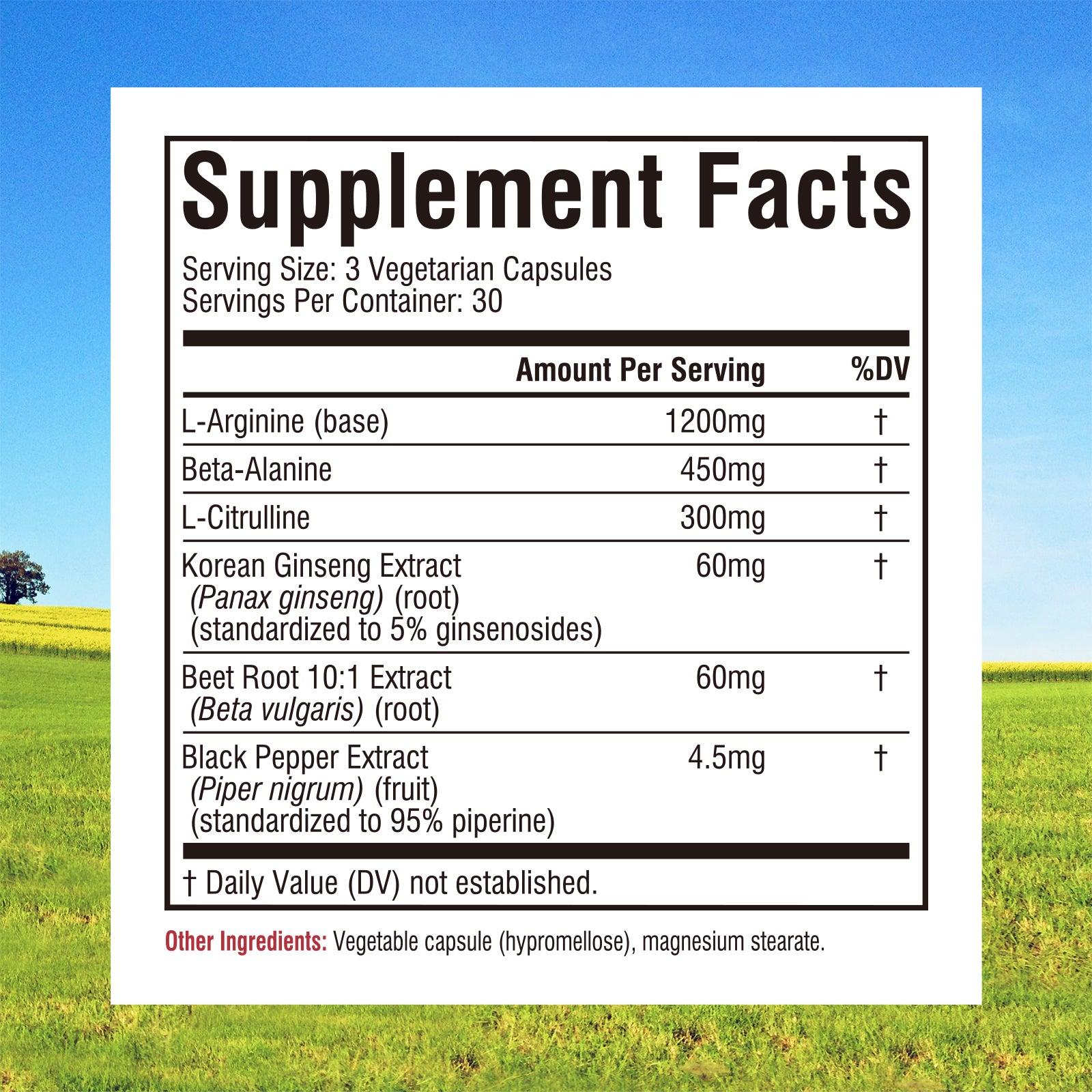Nitric Oxide Booster
