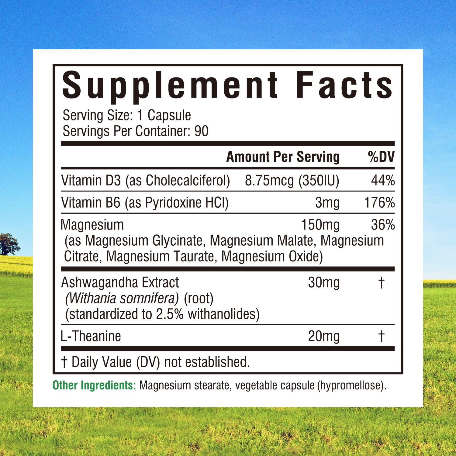 4-In-1 Buffered Magnesium Complex