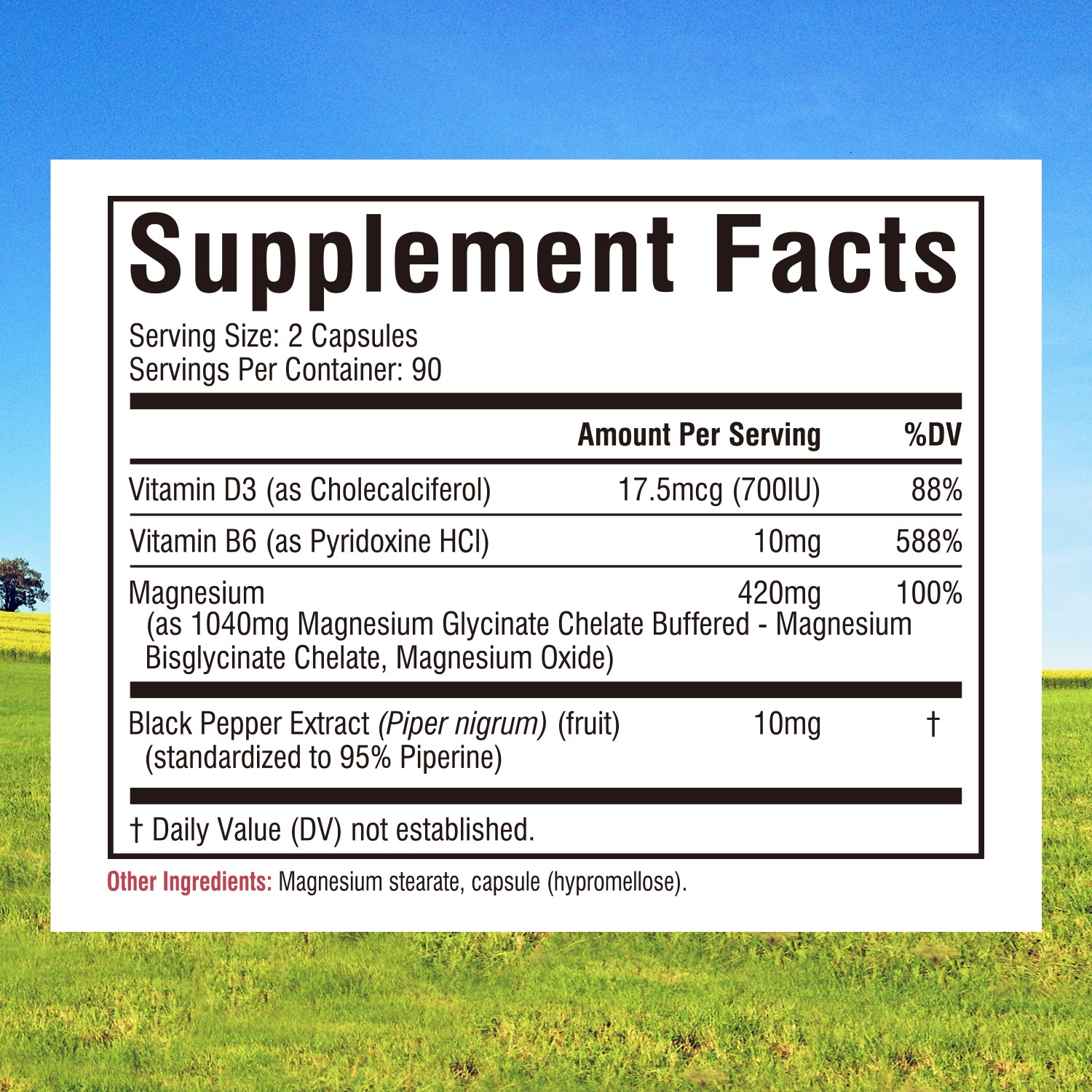 Magnesium Glycinate+