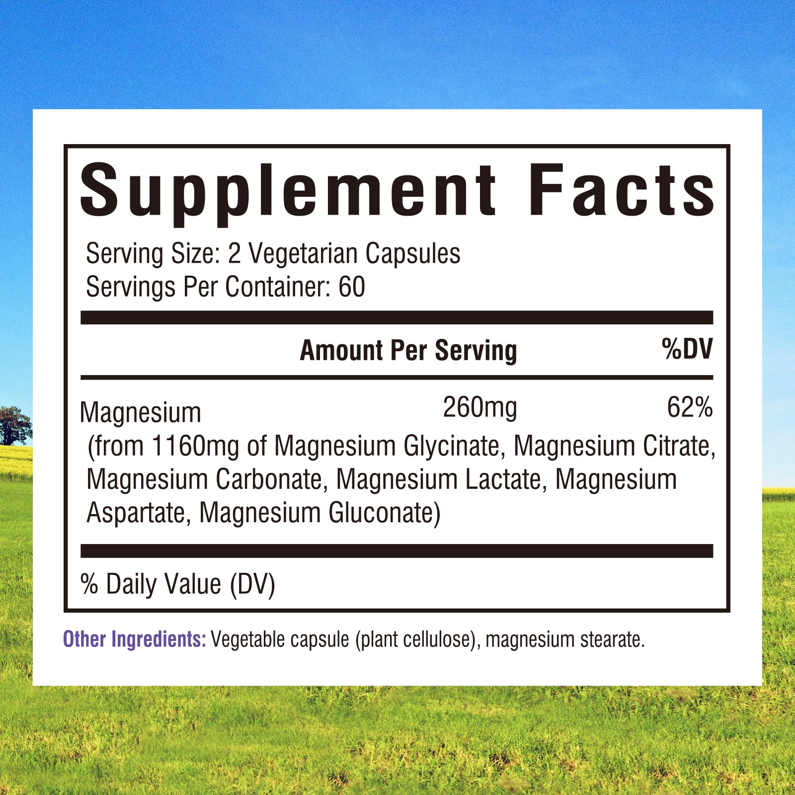 6-In-1 Magnesium Complex
