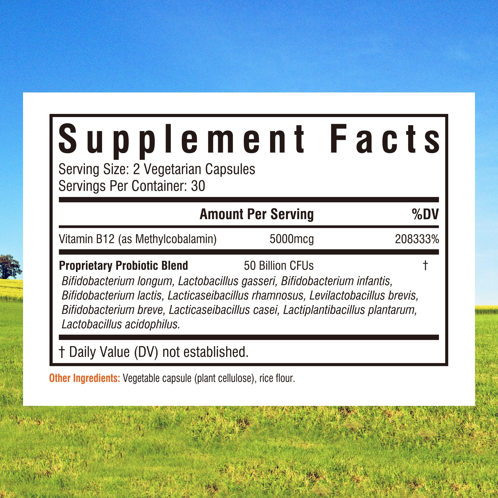 Vitamin B12 + Probiotics
