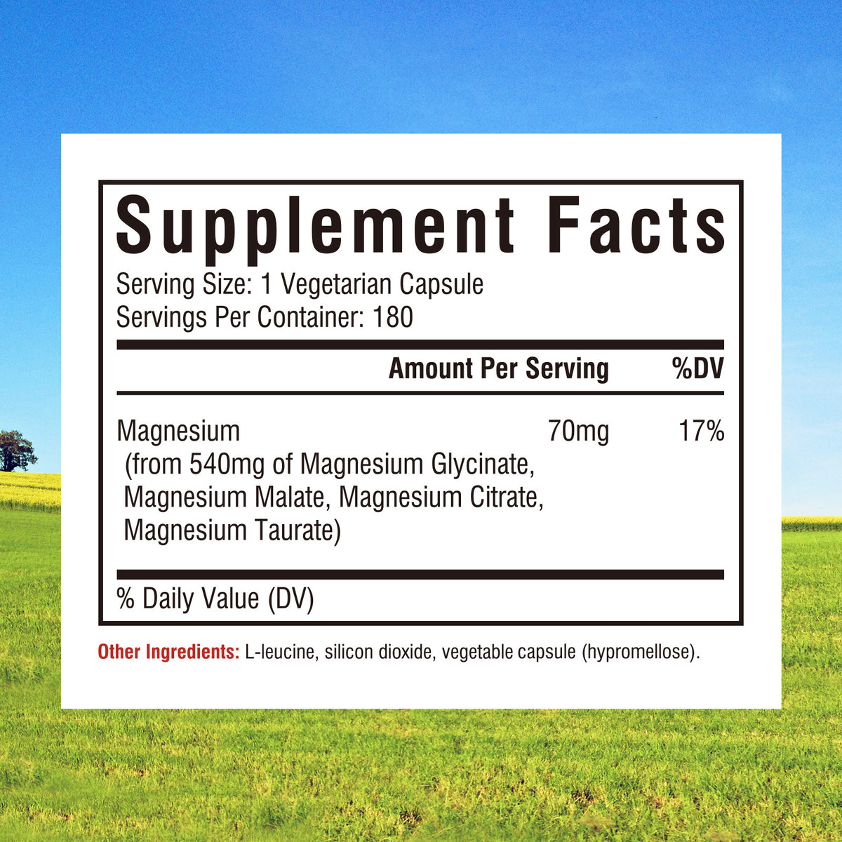 4-In-1 Magnesium Complex