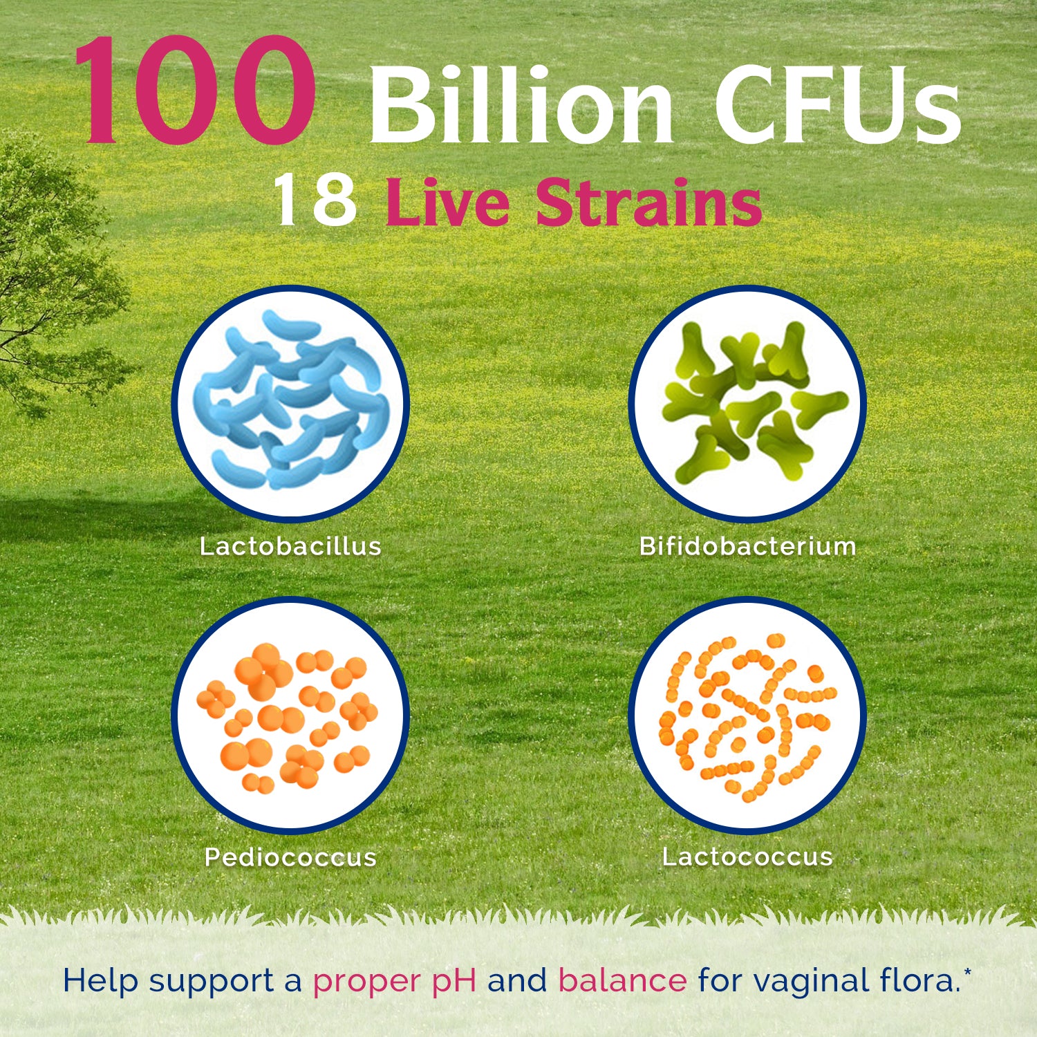 Women's Probiotics 100B