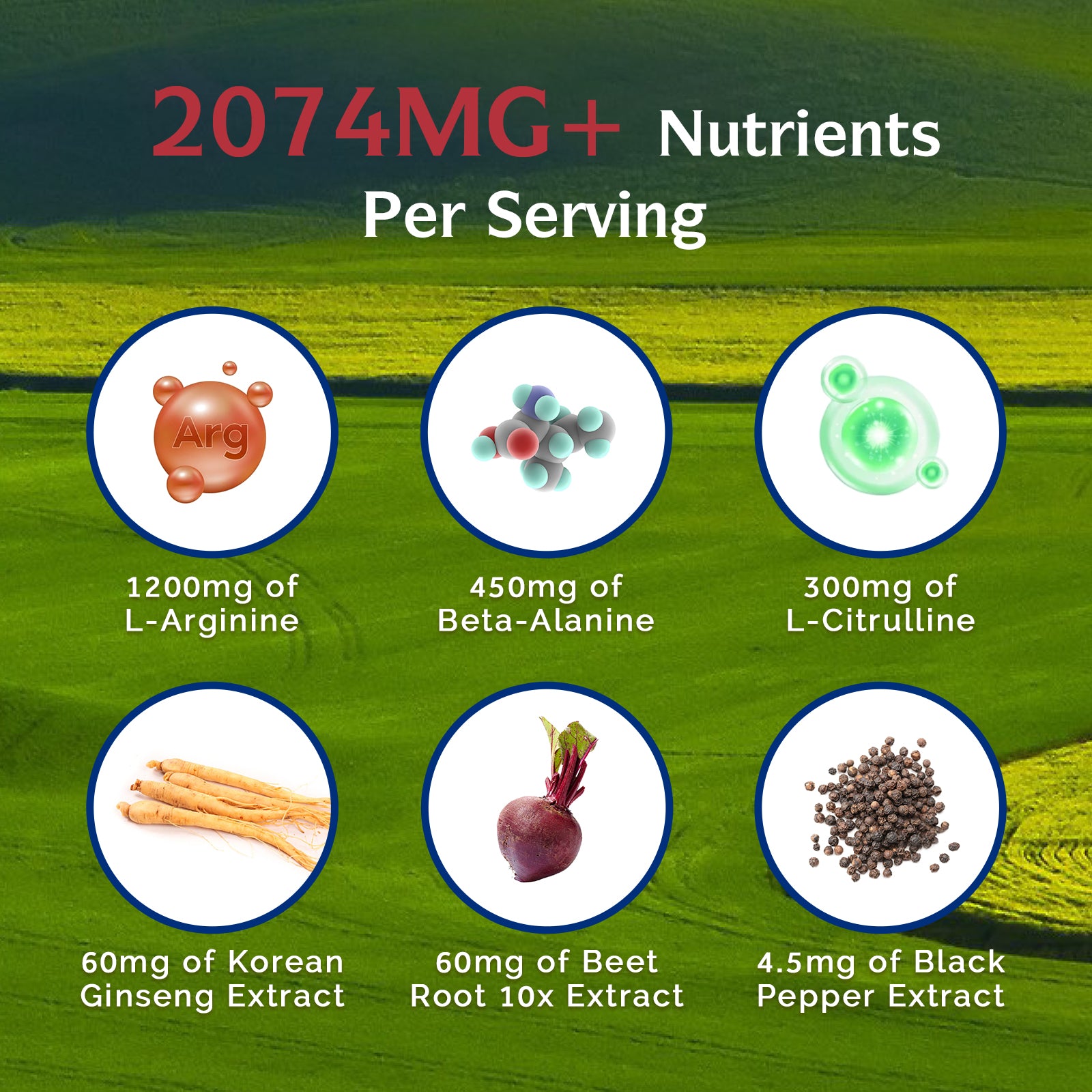 Nitric Oxide Booster