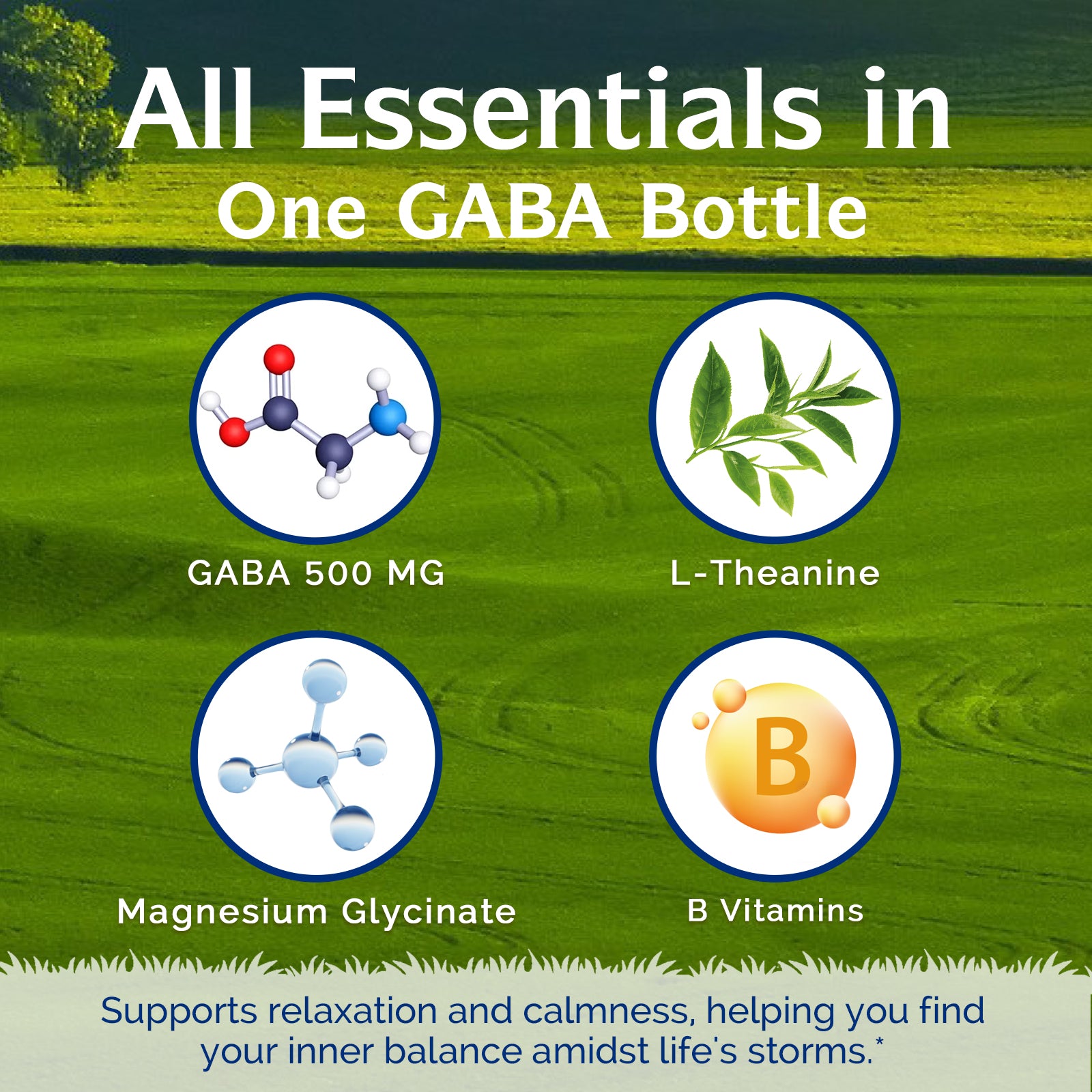 GABA L-Theanine & Magnesium