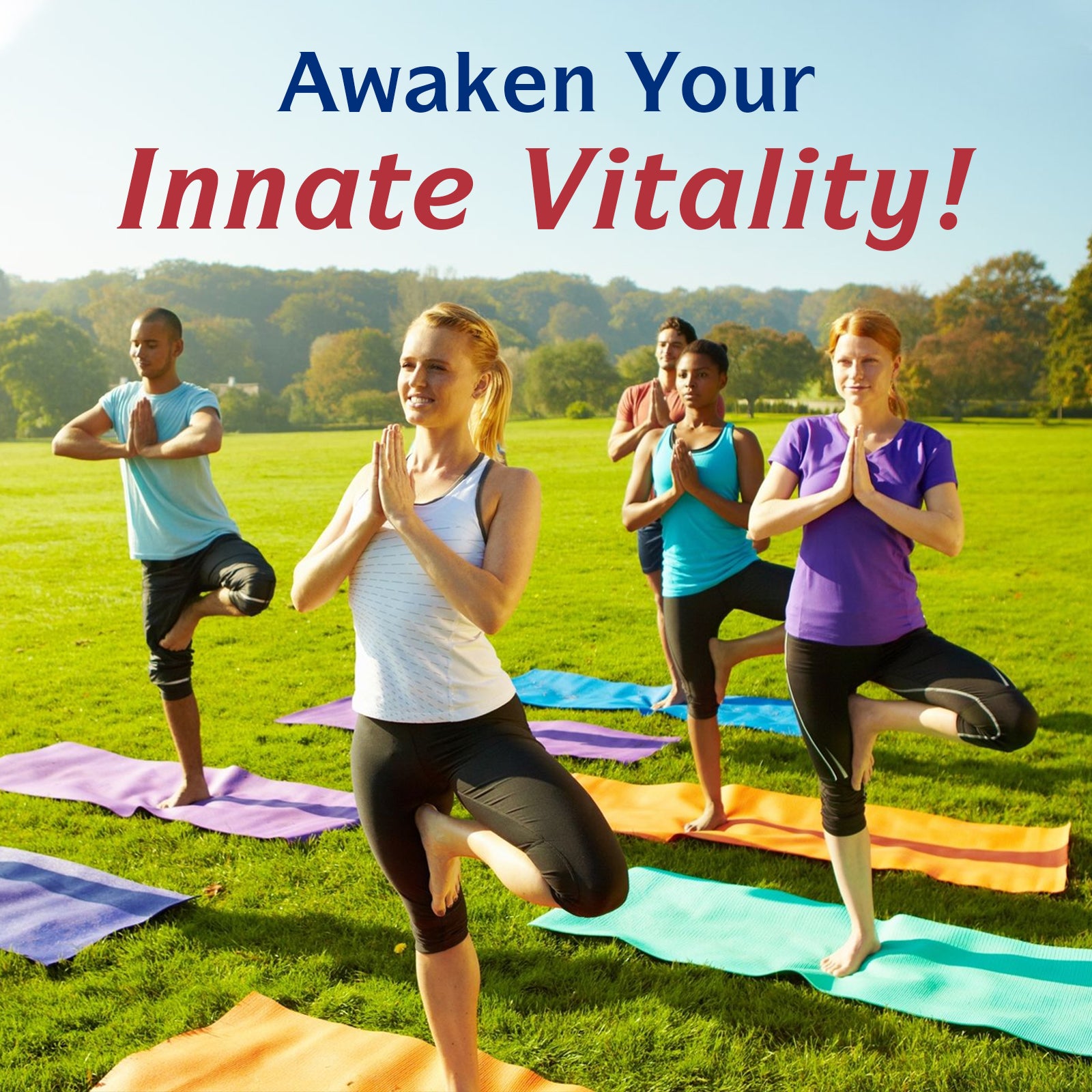 Nitric Oxide Booster
