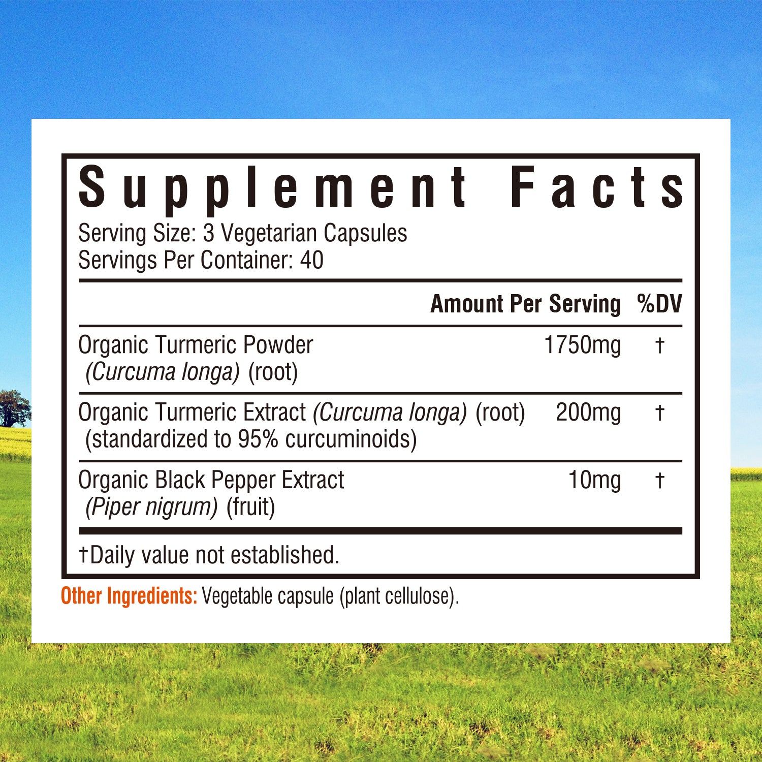 Organic Turmeric Curcumin