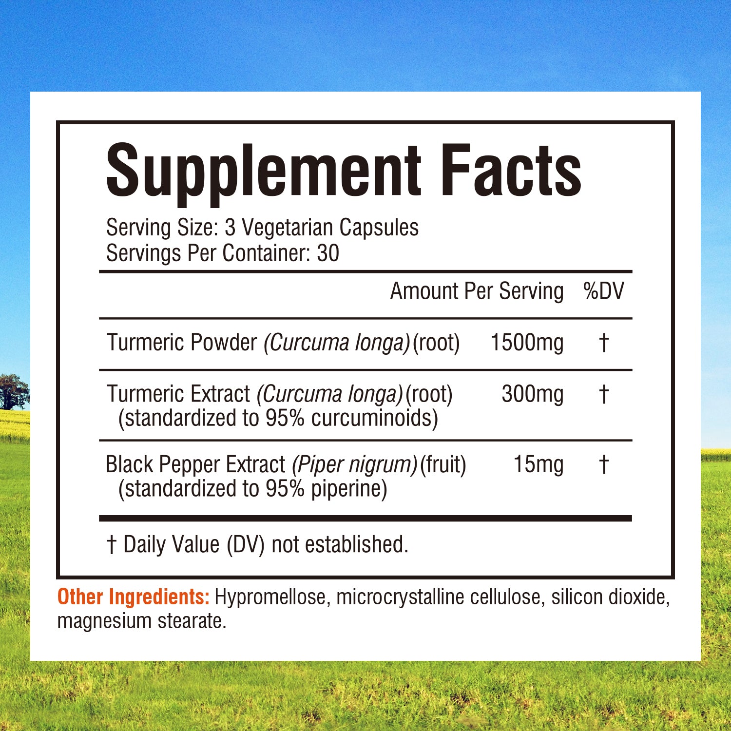 Turmeric Curcumin 1800MG