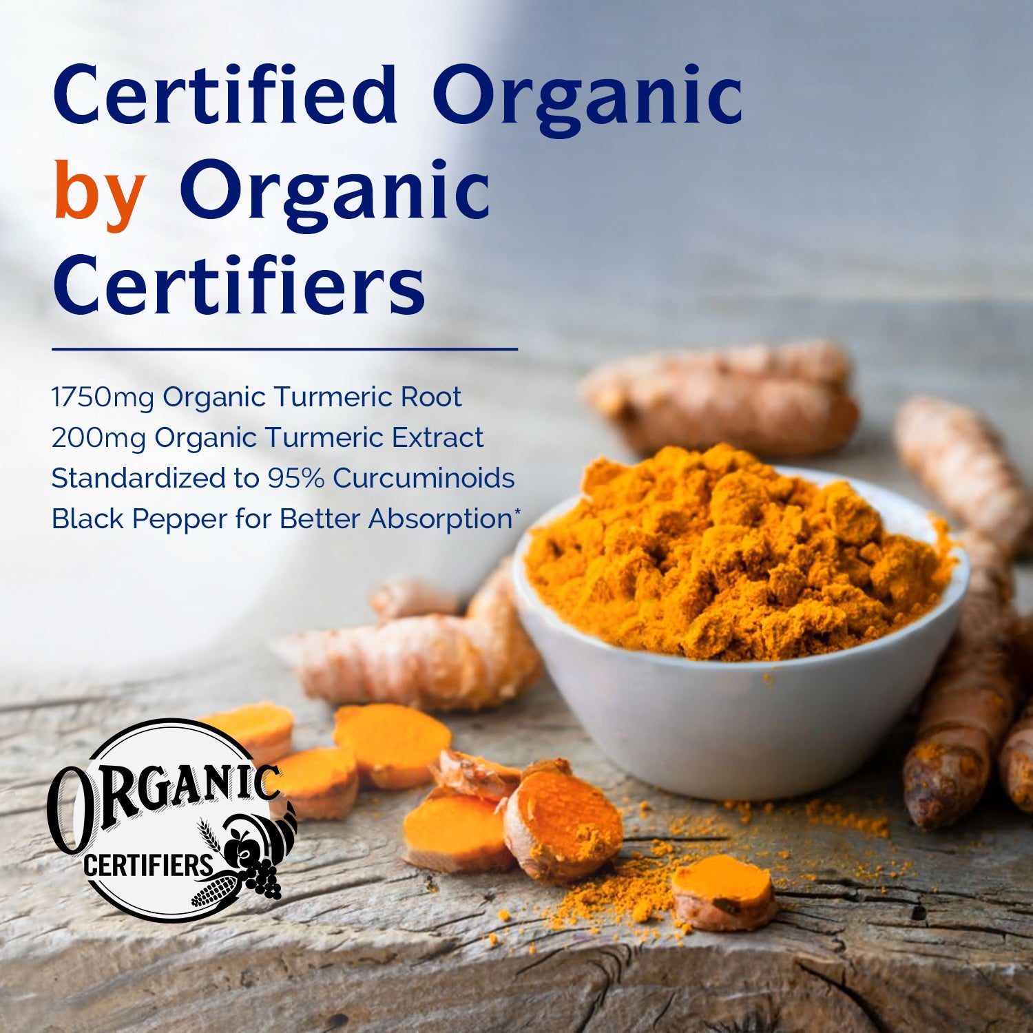 Organic Turmeric Curcumin