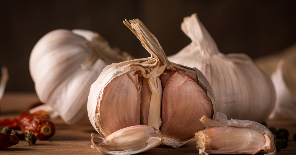 Cooking with Garlic: Delicious Recipes That Maximize Its Health Benefits