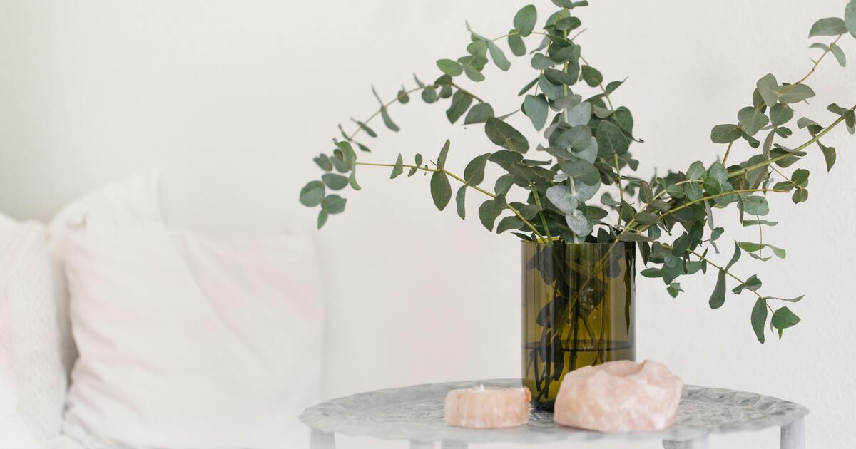 The Anti-Inflammatory Lifestyle: Living in Harmony with Your Immune System