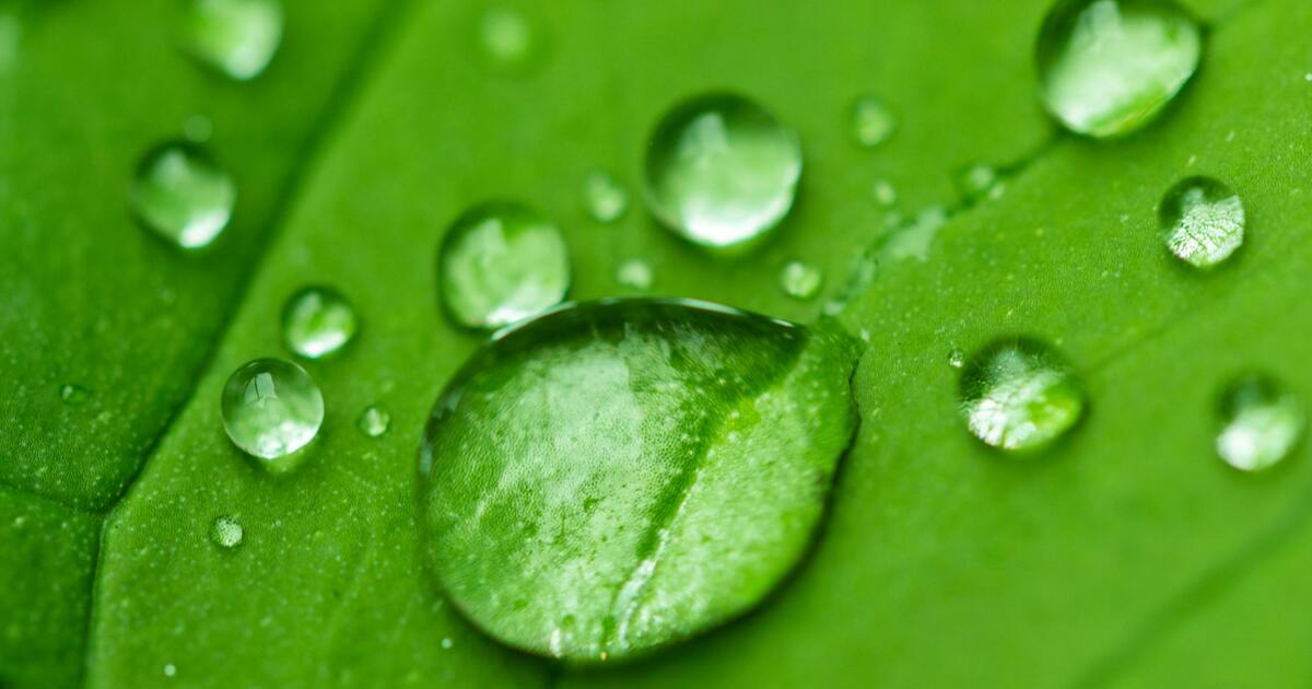 Deep Hydration: Why Drinking Water Isn't Enough for Cellular Energy