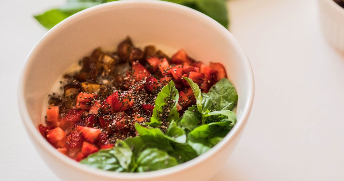 The Ambient Matrix: Rethinking Breakfast with the Savory 10-Minute Botanical Gel Parfait