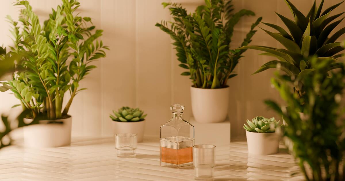 The Eco-Minimalist Blueprint: Living with 100% Plant-Based Intentionality