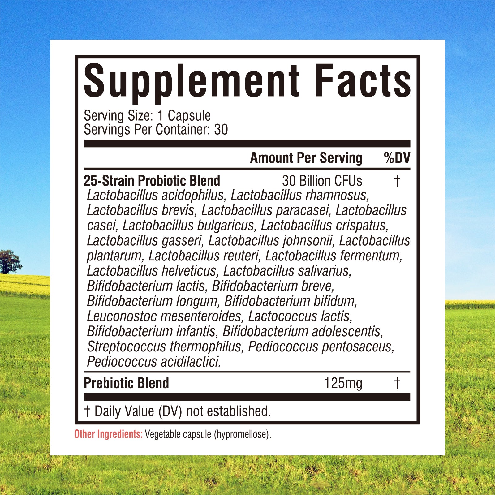 Daily Probiotics 30 Billion