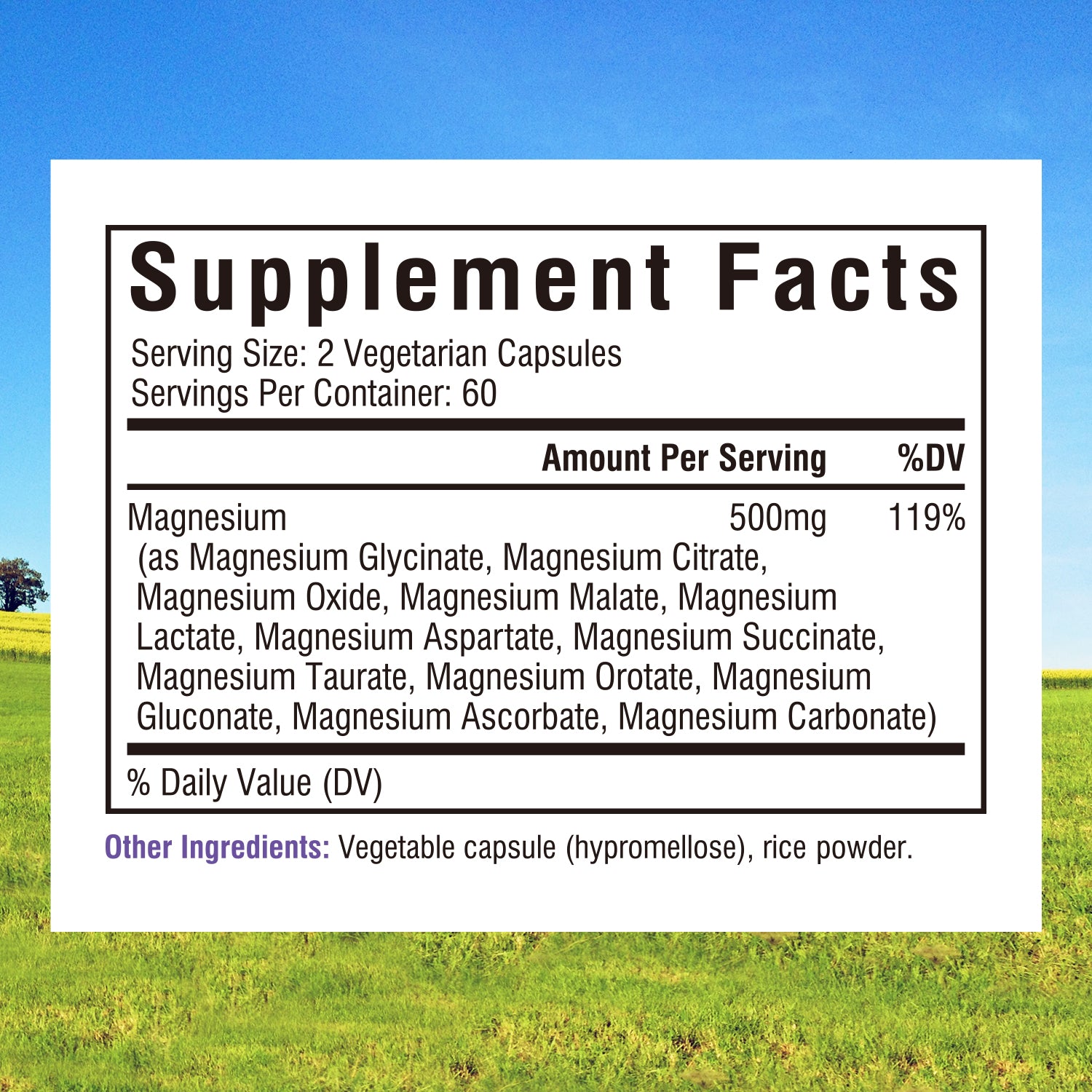 12-In-1 Magnesium Complex