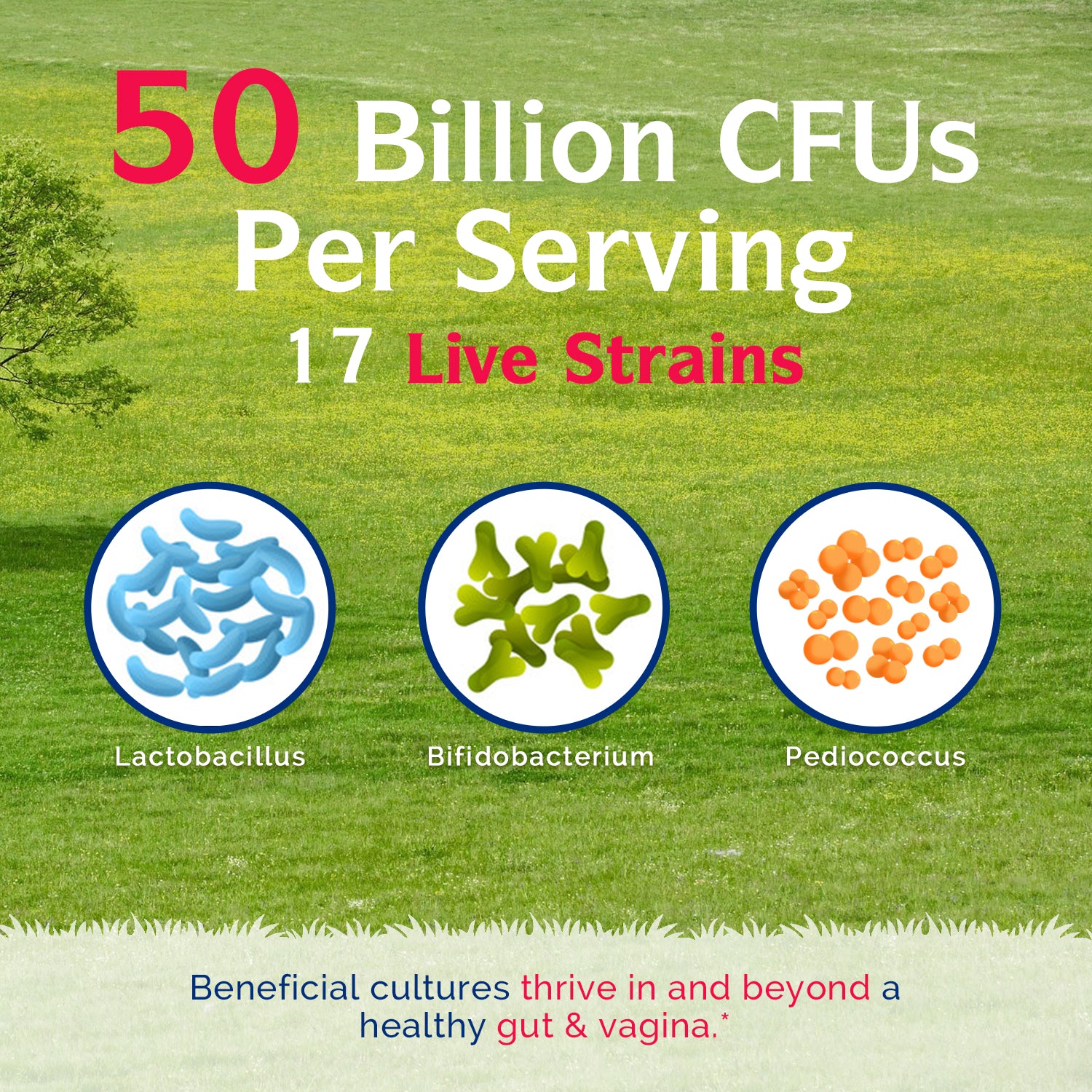 Women's Probiotics 50 Billion