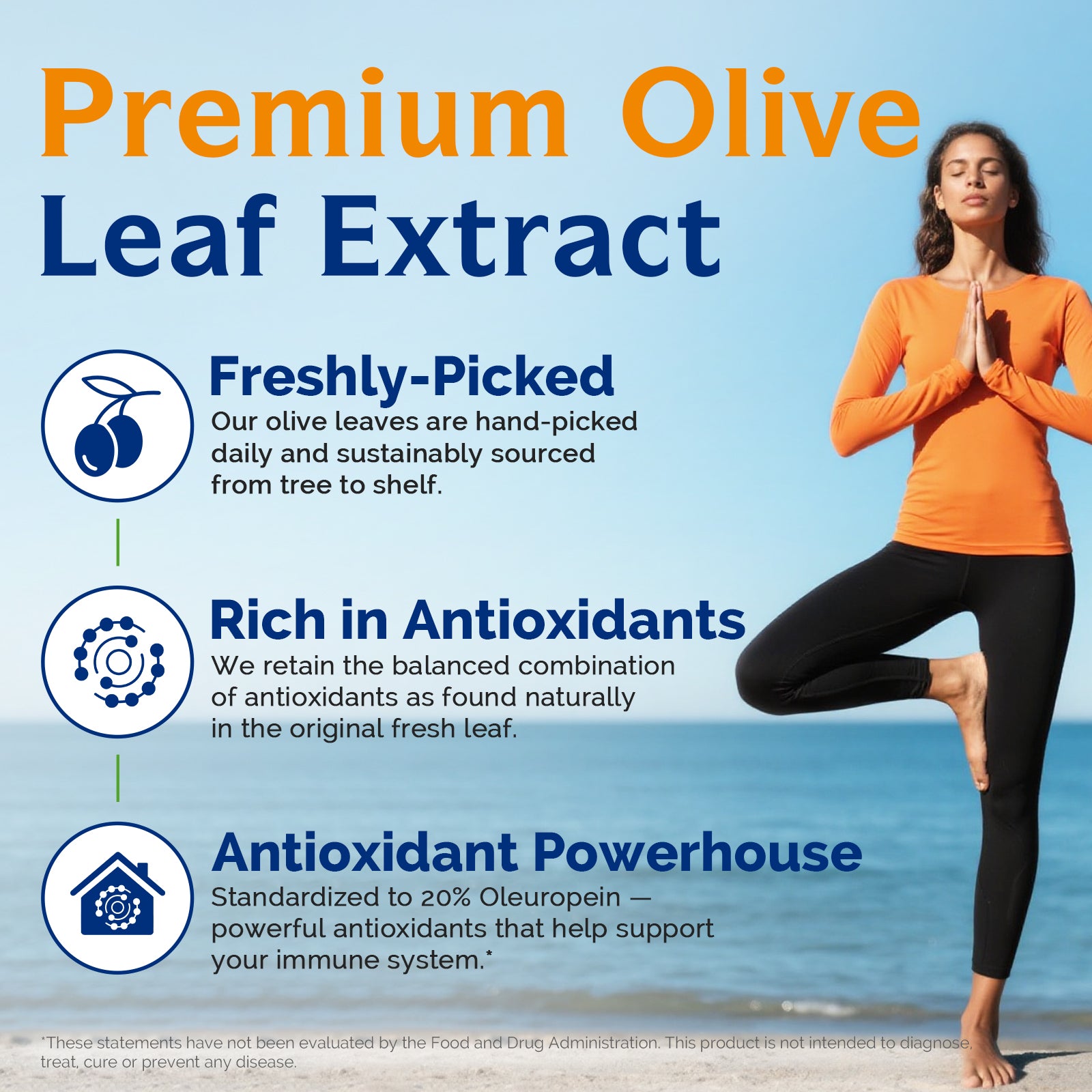 Olive Leaf