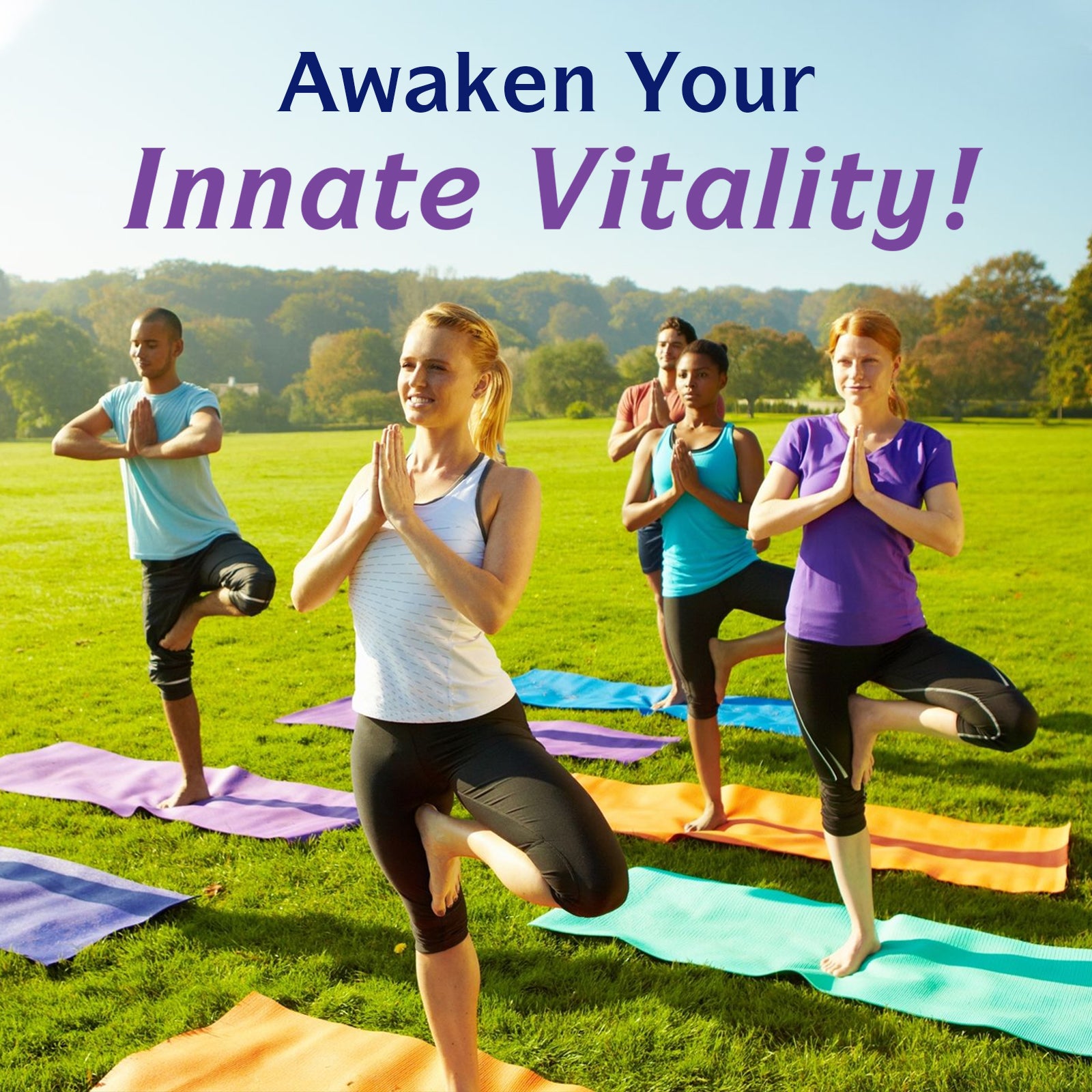 Innate Vitality Supplement