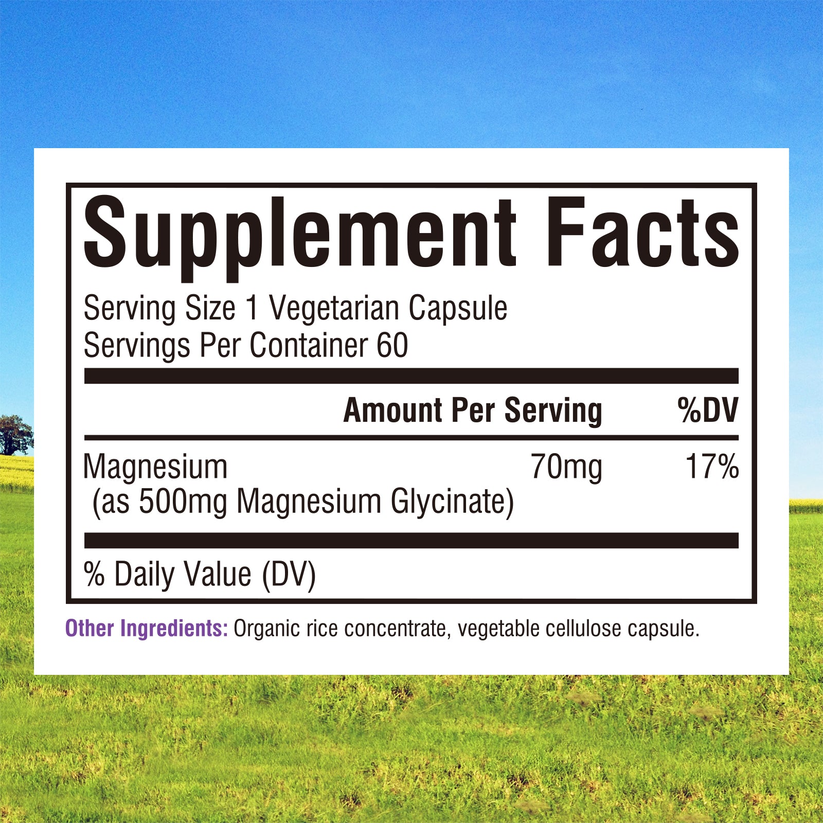 Magnesium Glycinate 500mg 60 Caps Supplement Facts