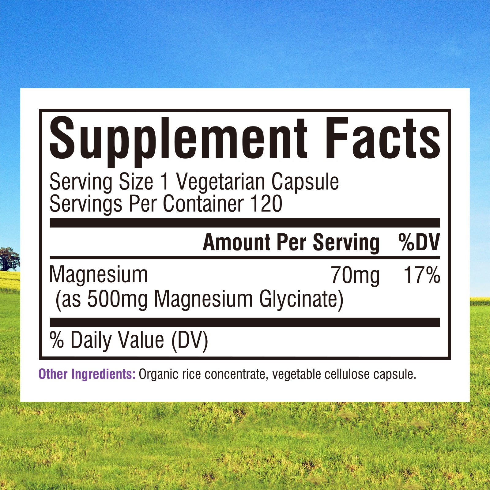 Magnesium Glycinate 500mg Supplement Facts